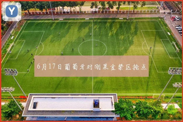 6月17日葡萄牙对刚果金禁区抢点