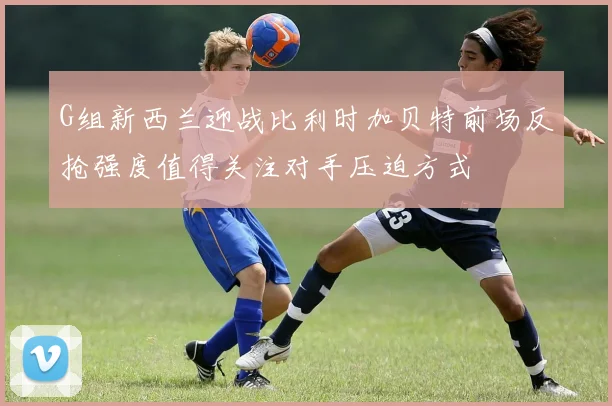 G组新西兰迎战比利时加贝特前场反抢强度值得关注对手压迫方式